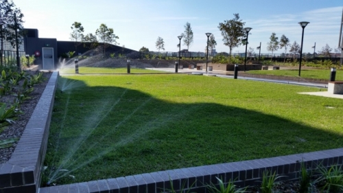 Eastern Suburbs sprinkler system installation (Small)